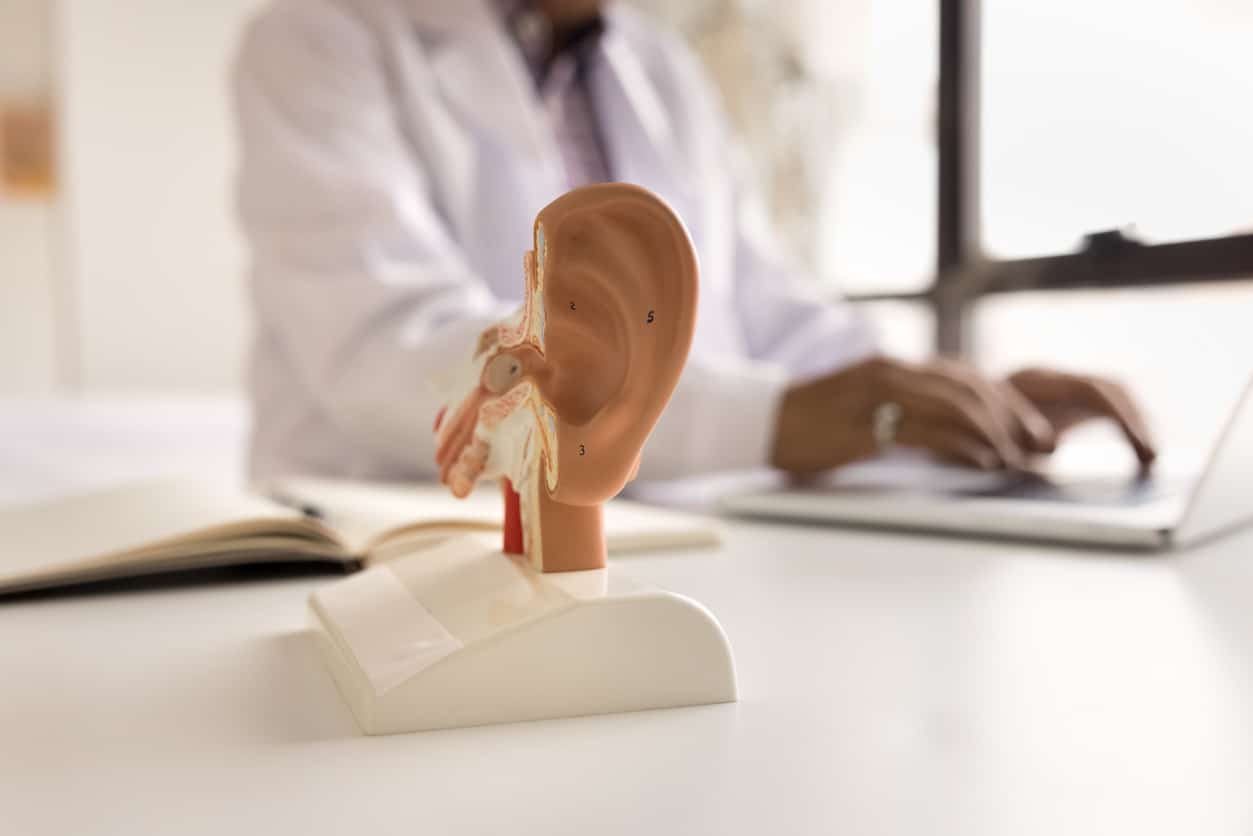 Model of ear at doctor's office