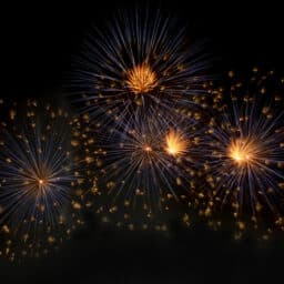 Fireworks in the night sky